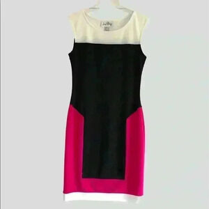 Joseph Ribkoff Color Blocked Sleeveless Dress Size 4